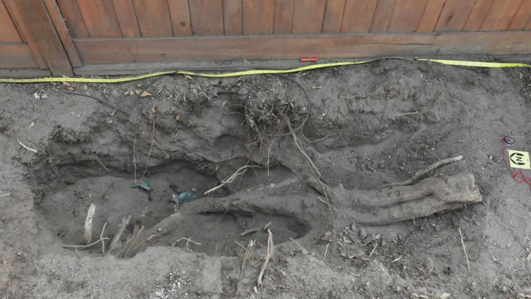 Buried in the Backyard — s01e06 — Murder House