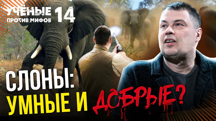 Ученые против мифов — s15e15 — Слоновьи кладбища, матриархат и другие мифы о слонах. Иван Затевахин. Ученые против мифов 14-15