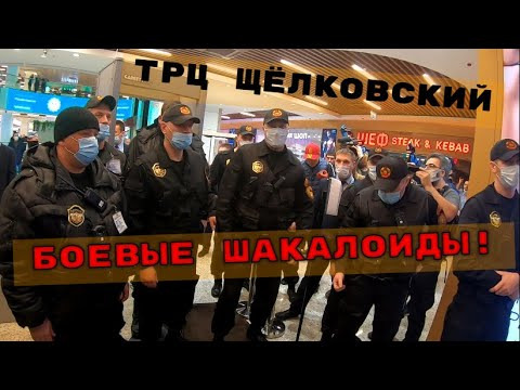 Вектор Движения — s09e25 — Вектор Движения № 266. Боевые Шакалоиды (ТРЦ Щёлковский) ч.1