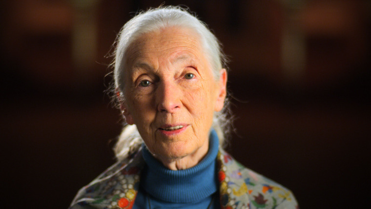 Письмо  — s01e07 — Jane Goodall
