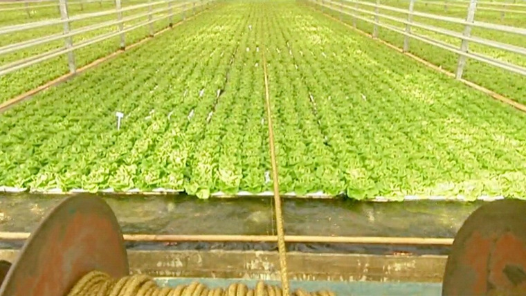 Как это работает? — s02e05 — Hydroponic Lettuce, Construction Wood, Recycling, Fishing Flies