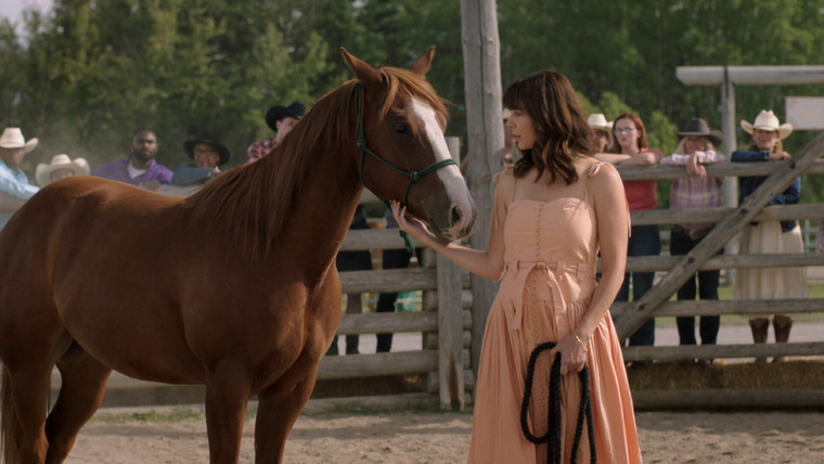 Хартленд — s18e10 — Open House