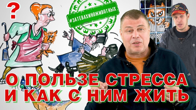 Затевахин О Животных — s01e18 — Стресс и поведение в стрессовых ситуациях