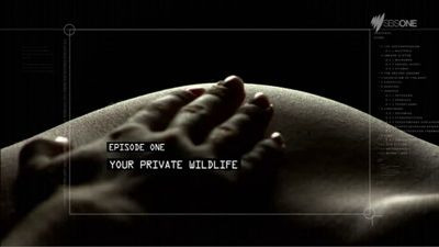 Жизнь на нашем теле — s01e01 — Your Private Wildlife