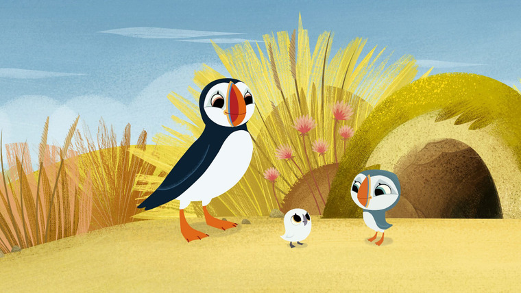 Puffin Rock — s02e34 — Puffin Treasure