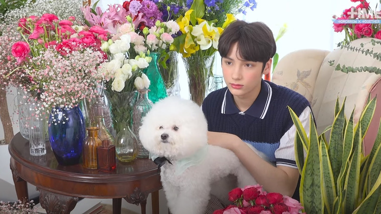 T: TIME — s2019e36 — 'Cat&Dog' Jacket shooting #2 HUENINGKAI