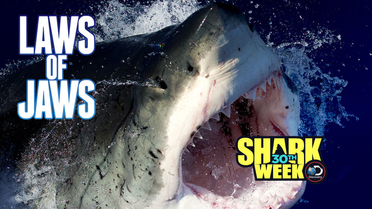 Shark Week — s2018e09 — Laws of Jaws