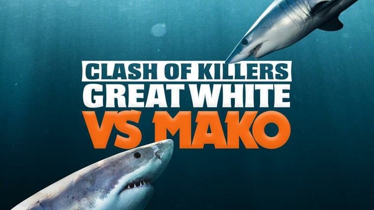 Shark Week — s2022e17 — Clash of Killers: Great White vs Mako