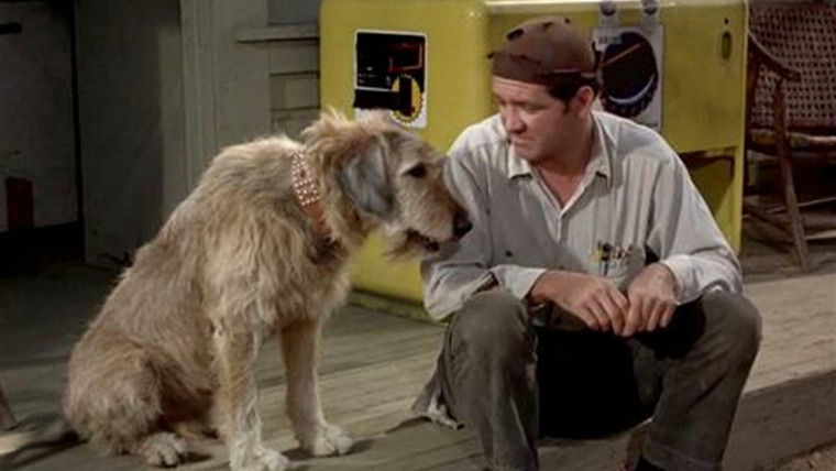 The Andy Griffith Show — s06e12 — A Man's Best Friend