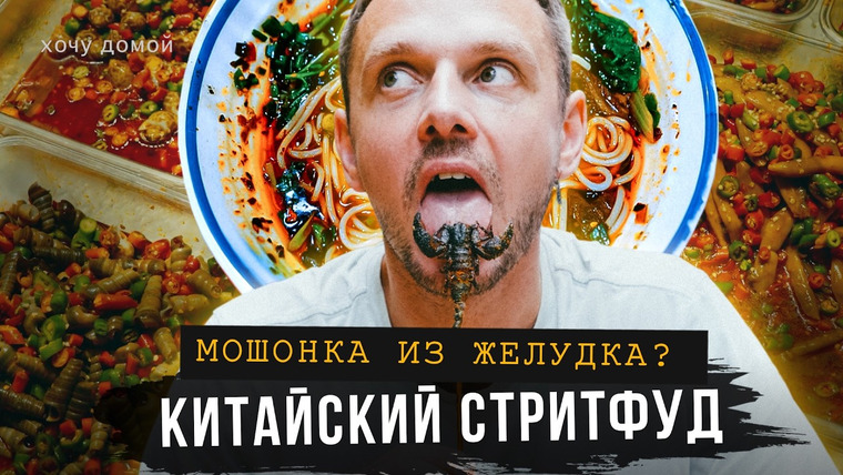 Хочу домой — s08e12 — Еда в Китае — страшная, но вкусная: черепахи, пауки и панда на десерт