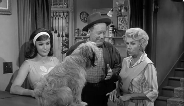 Petticoat Junction — s02e06 — My Dog the Actor