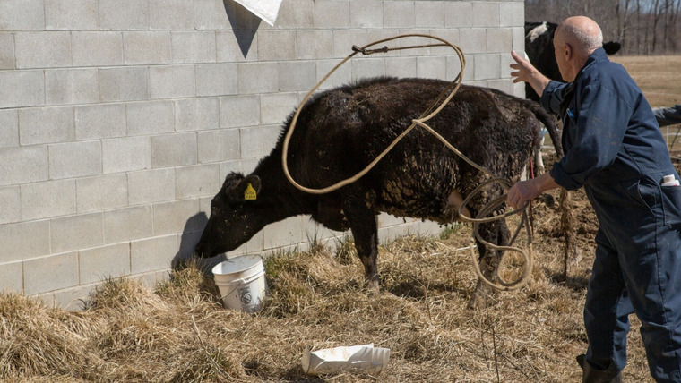 Невероятный доктор Пол — s03e04 — Pigs in a Blanket
