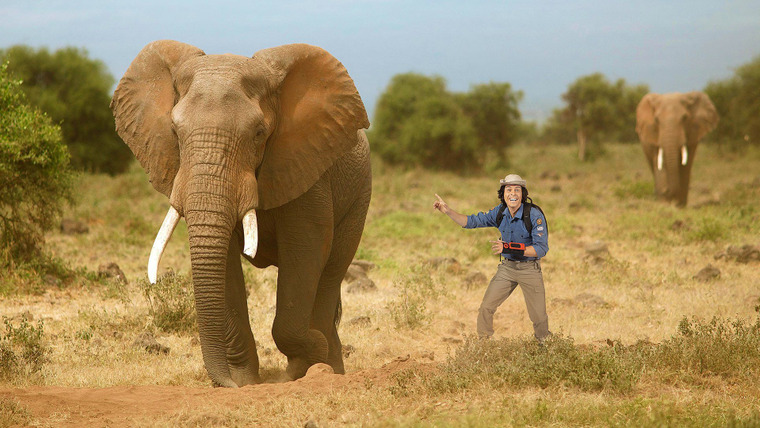 Andy's Wild Adventures — s01e02 — Elephants