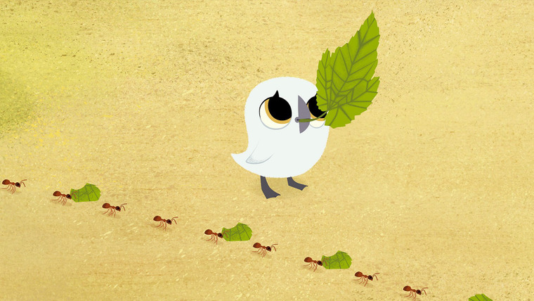Puffin Rock — s03e07 — Bug Bug Buggies