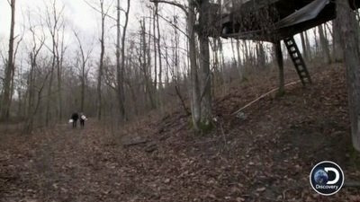 Moonshiners — s07e17 — Foraging for a Long Winter Ahead