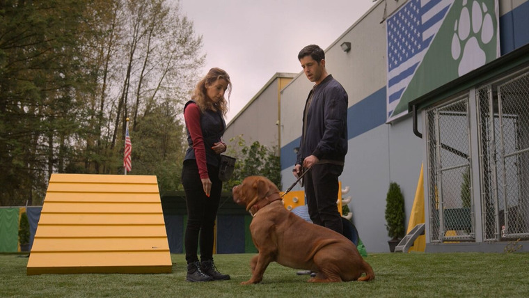 Turner & Hooch — s01e01 — Forever and a Dog