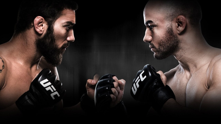 UFC Fight Night — s2018e11 — UFC Fight Night 131: Rivera vs. Moraes