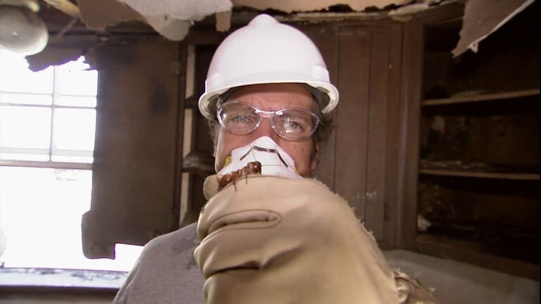 Dirty Jobs — s03e04 — Mosquito Control Officer