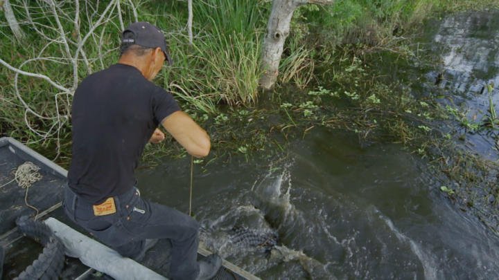 Swamp People — s09e20 — United We Stand