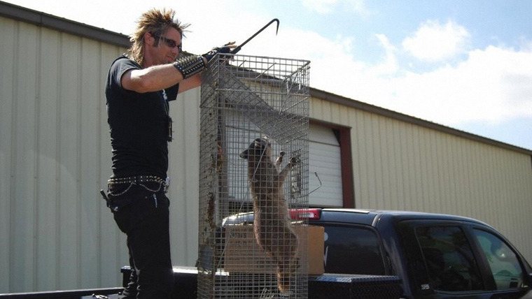 Billy the Exterminator — s02e02 — Attack of the Trash Can Raccoon