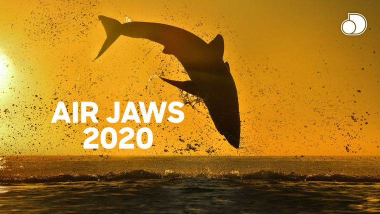 Shark Week — s2020e13 — Air Jaws 2020