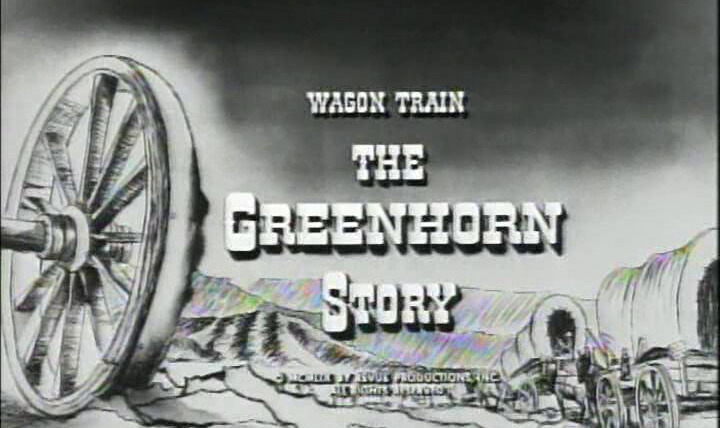 Караван повозок — s03e02 — The Greenhorn Story