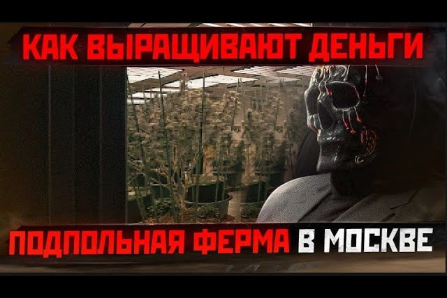 Мориарти — s02e13 — Как в РОССИИ выращивают ТРАВКУ — Подпольная ферма МОРИАРТИ.