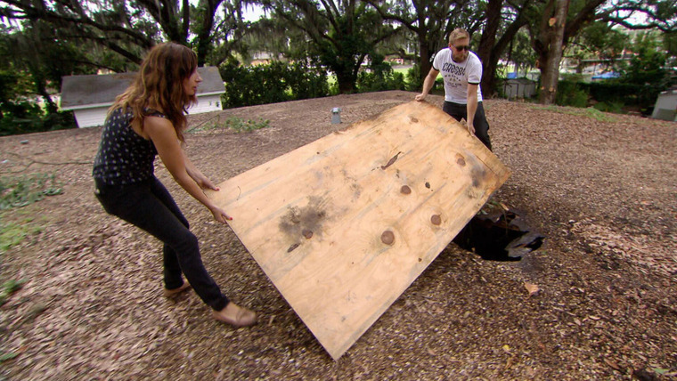 Zombie House Flipping — s02e09 — Ashlee in Charge