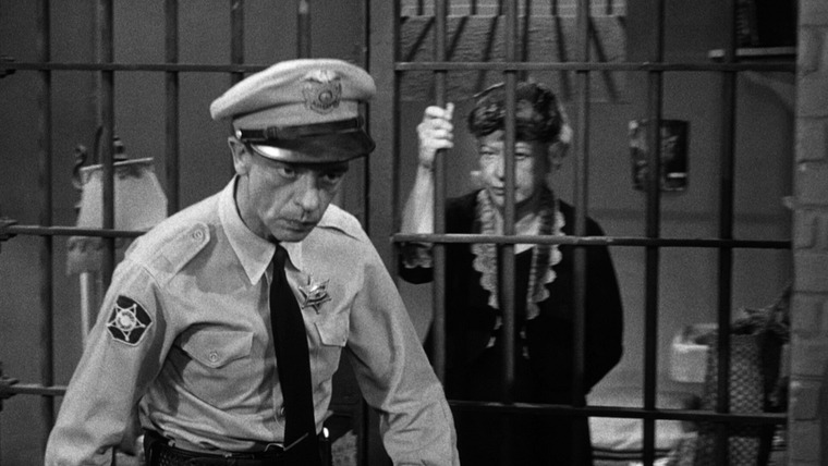 The Andy Griffith Show — s04e21 — The Shoplifters