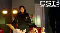 CSI: Crime Scene Investigation — s14e14 — De Los Muertos