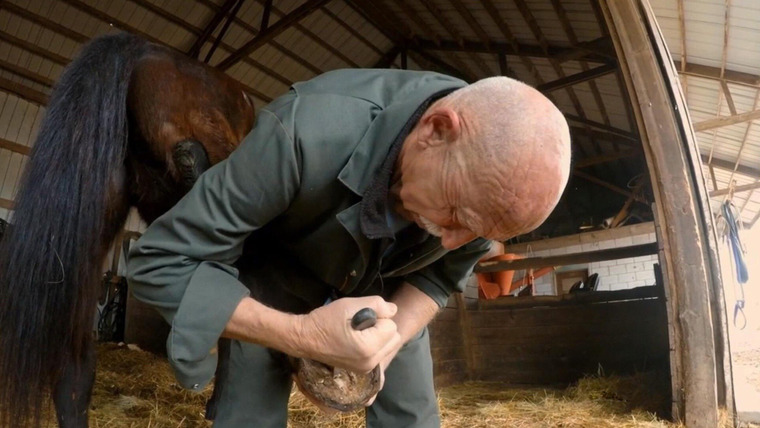 The Incredible Dr. Pol — s13e10 — Kung Fu Biting