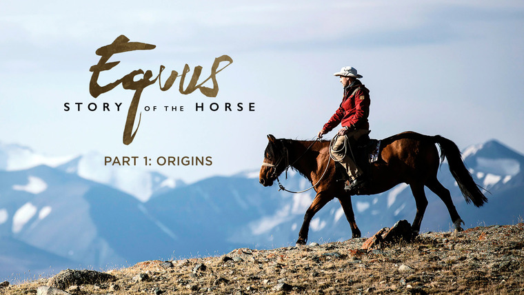 The Nature of Things with David Suzuki — s58e01 — Equus: Story of the Horse - Origins
