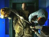 CSI: Crime Scene Investigation — s04e05 — Fur and Loathing