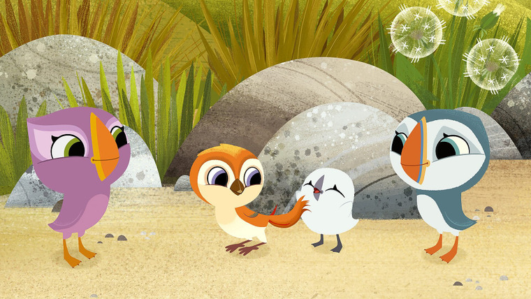 Puffin Rock — s03e05 — Just Like a Puffin