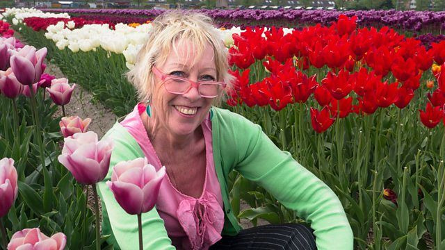 Carol Klein's Plant Odysseys — s01e02 — Tulips