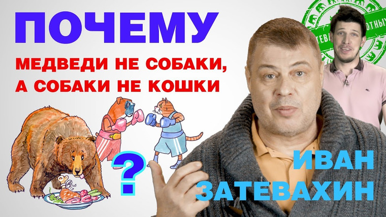 Затевахин О Животных — s01e11 — 09 || Почему медведи не собаки, а собаки не кошки? || Затевахин о Животных