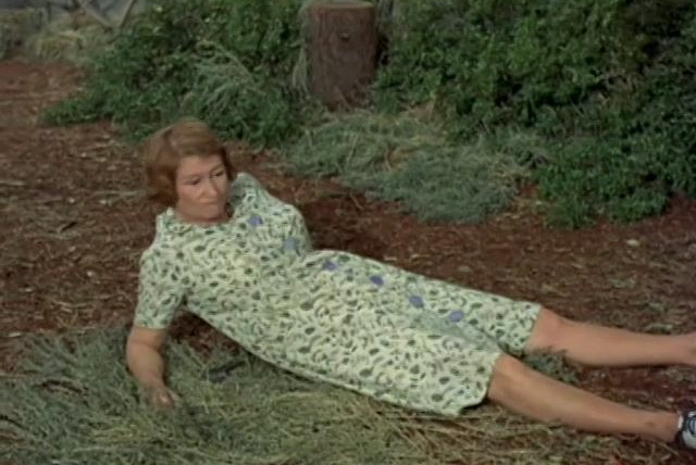 Green Acres — s05e06 — The Road