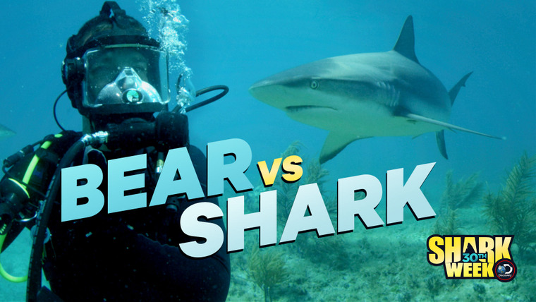 Shark Week — s2018e02 — Bear vs Shark
