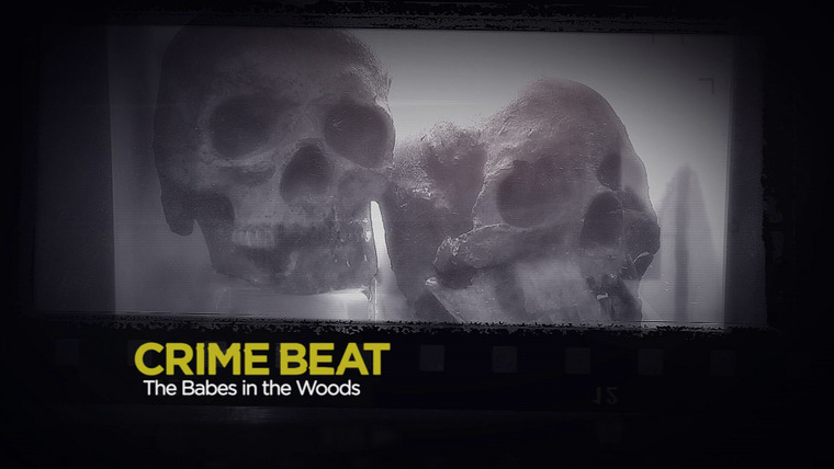 Crime Beat — s04e04 — The Babes in the Woods