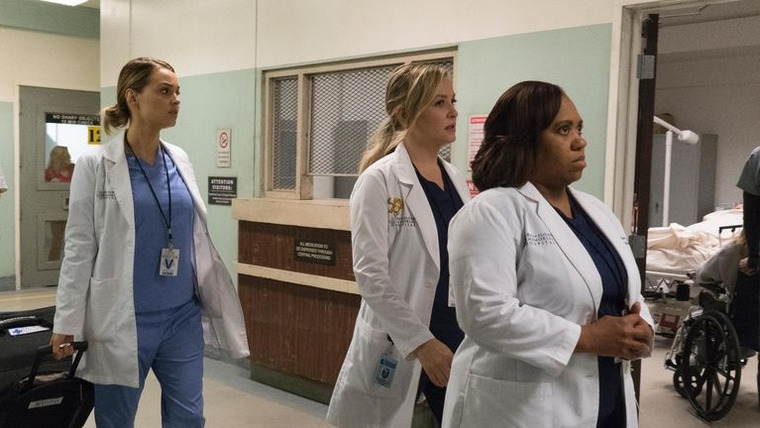 Grey's Anatomy — s13e10 — You Can Look (But You'd Better Not Touch)