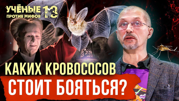Ученые против мифов — s14e02 — Опасные кровососы: от летучих мышей до пиявок. Евгений Рыбалтовский. Учёные против мифов 13-2