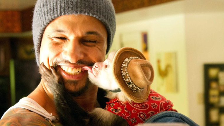 Жиголо — s06e05 — Monkey Business