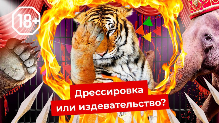 Варламов — s05e118 — Шоу для извергов: цирки и дельфинарии нужно запретить | Как страдают животные