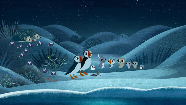 Puffin Rock — s02e17 — The Meteor Shower