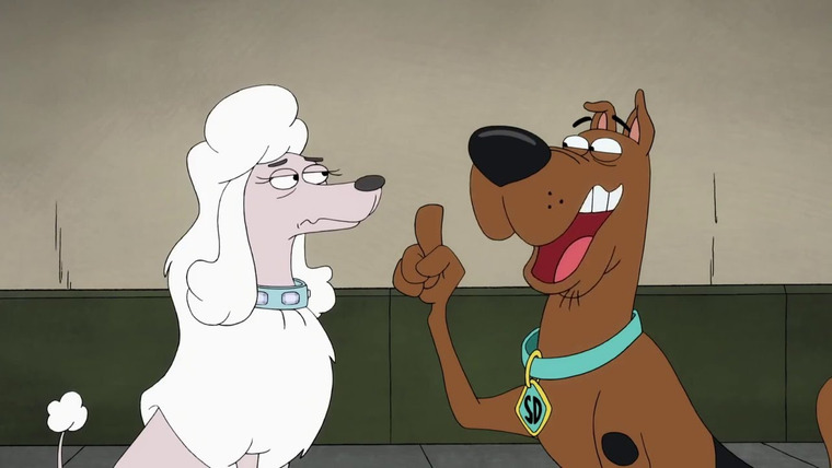 Be Cool, Scooby-Doo! — s01e04 — Poodle Justice