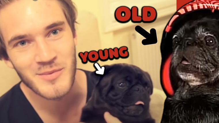 PewDiePie — s12e133 — My Dog Reacts To Himself. (failed)