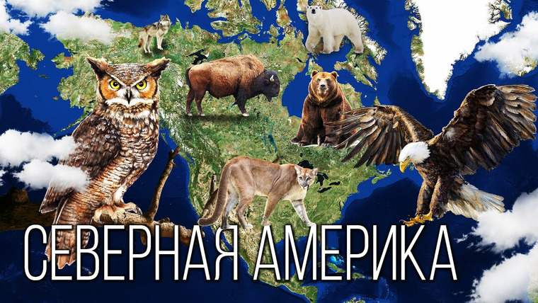 Планета Земля 3 сезон 36 серия – Материк Северная Америка: Новый свет со старыми корнями