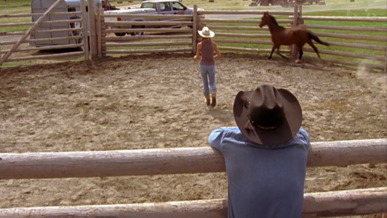 Heartland — s01e05 — Best Laid Plans