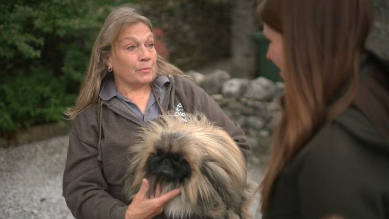 All Creatures Great and Small — s04 special-2 — All Creatures Great & Small and The Yorkshire Vet