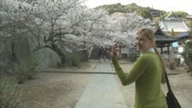 Journeys in Japan — s2012e18 — Getting Lost in Pink Petals